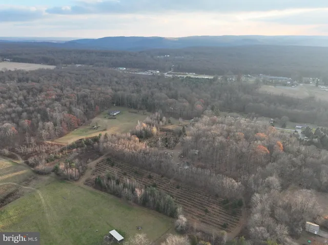 a view of a dry yard with green space