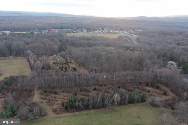 a view of city and mountain