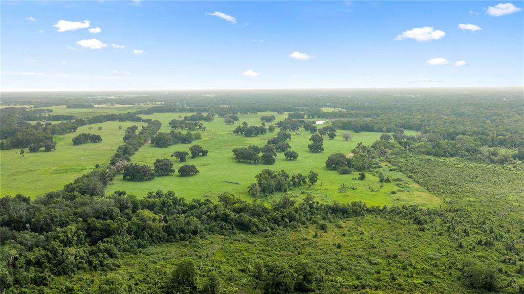 774 County Road Webster, FL 33597 - Photo 15 of 18 Gallery Image 15