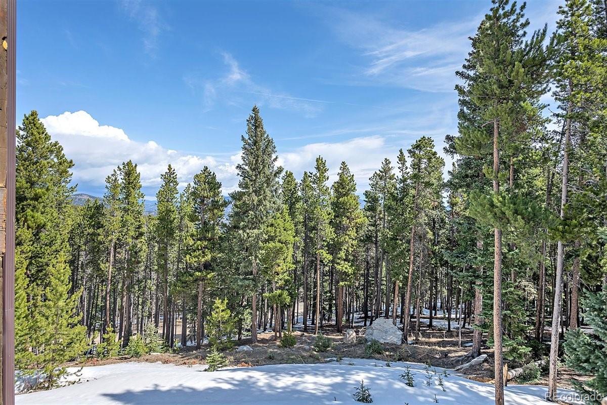 2229 Sinton Road Evergreen, CO 80439 - Photo 33 of 38 a view of a house with a yard and covered with trees