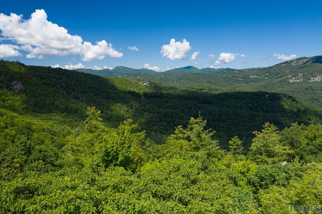 Lot 2 East Ridge Road Cashiers, NC 28717 - Photo 7 of 14 Gallery Image 7