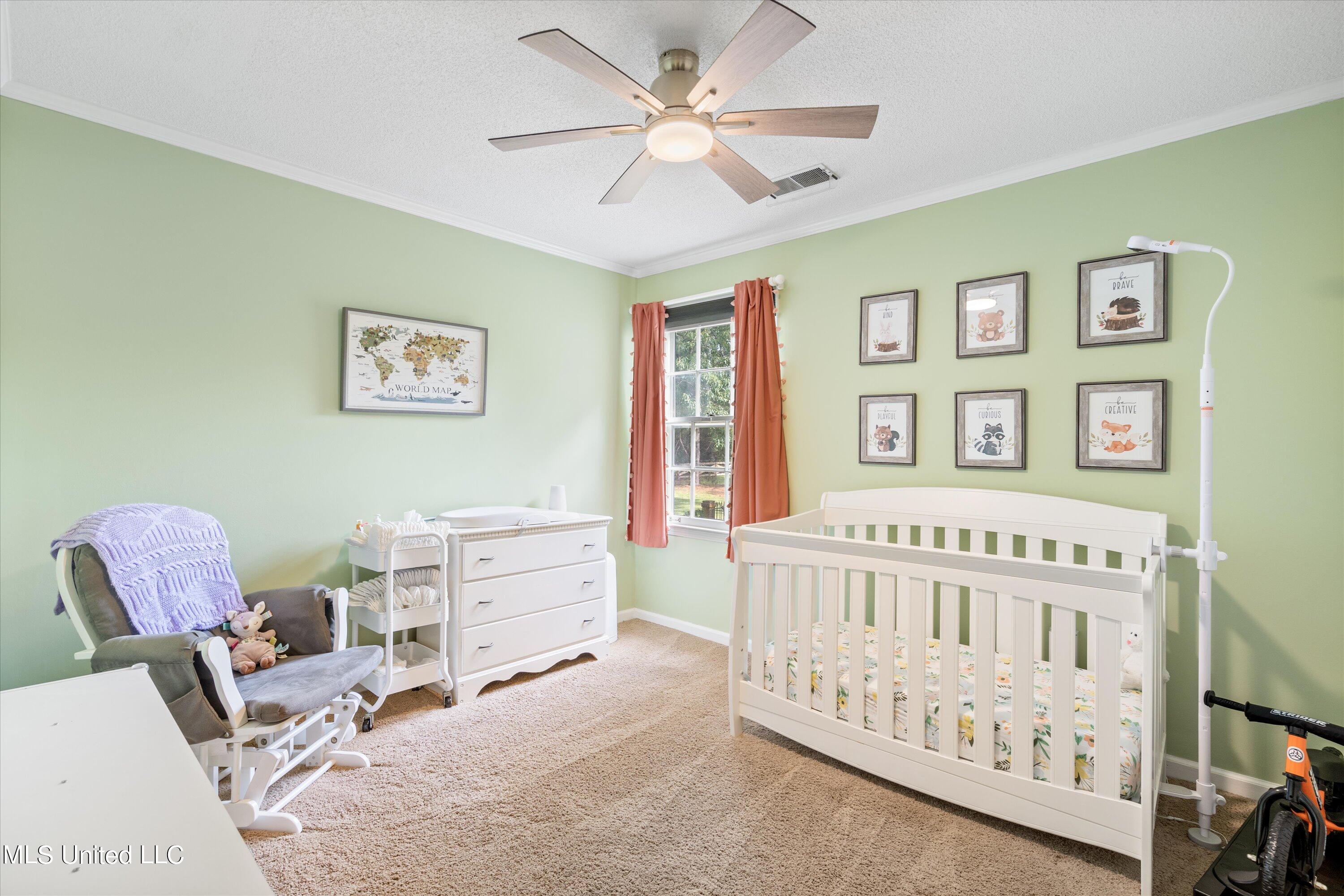 8101 State Line Road Olive Branch, MS 38654 - Photo 29 of 47 28-DSC2662