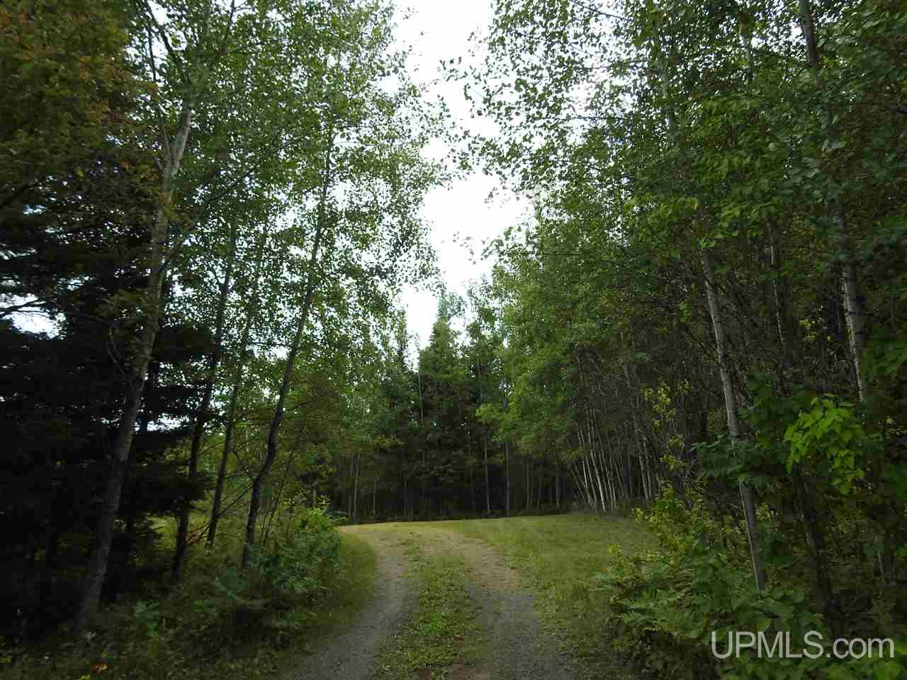 N7908 Coppo Road Felch, MI 49831 - Photo 27 of 28 Gallery Image 27