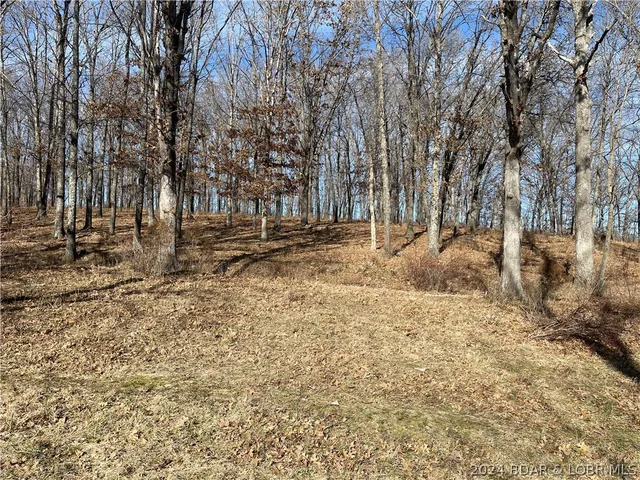 $684,840 | Three Three Creek Road, Preston, MO 65732