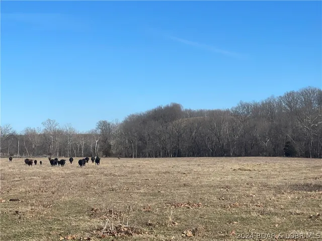 $684,840 | Three Three Creek Road, Preston, MO 65732