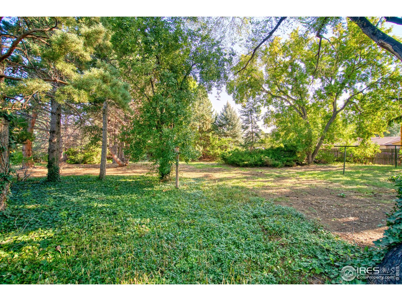 5511 Pioneer Road Boulder, CO 80301 - Photo 7 of 28 Spacious Yard.