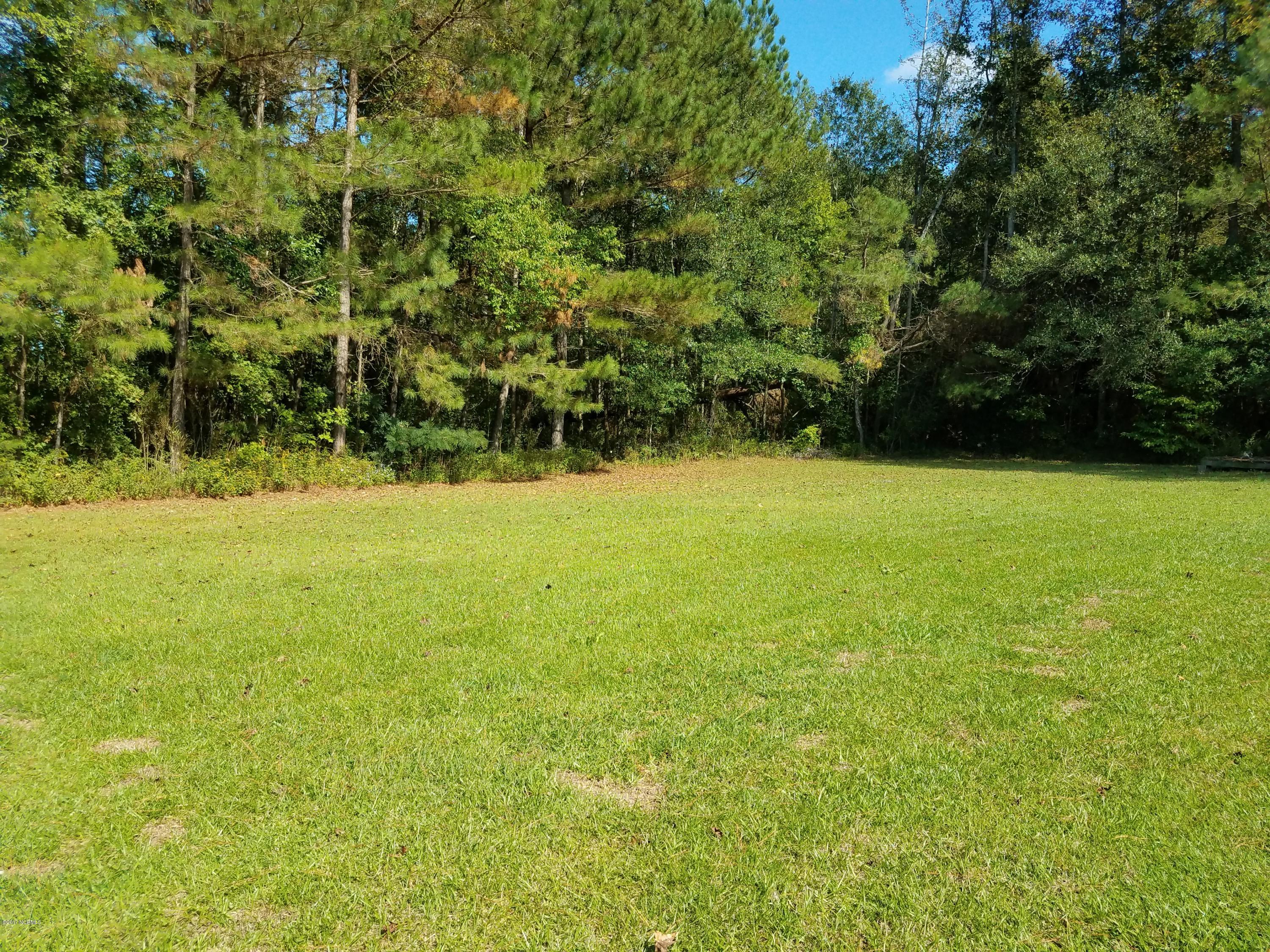 1688 Horseshoe Road Bladenboro, NC 28320 - Photo 4 of 16 20170926_150203