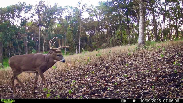 $806,000 | W27022 Whistlers Pass Road, Trempealeau, WI 54661