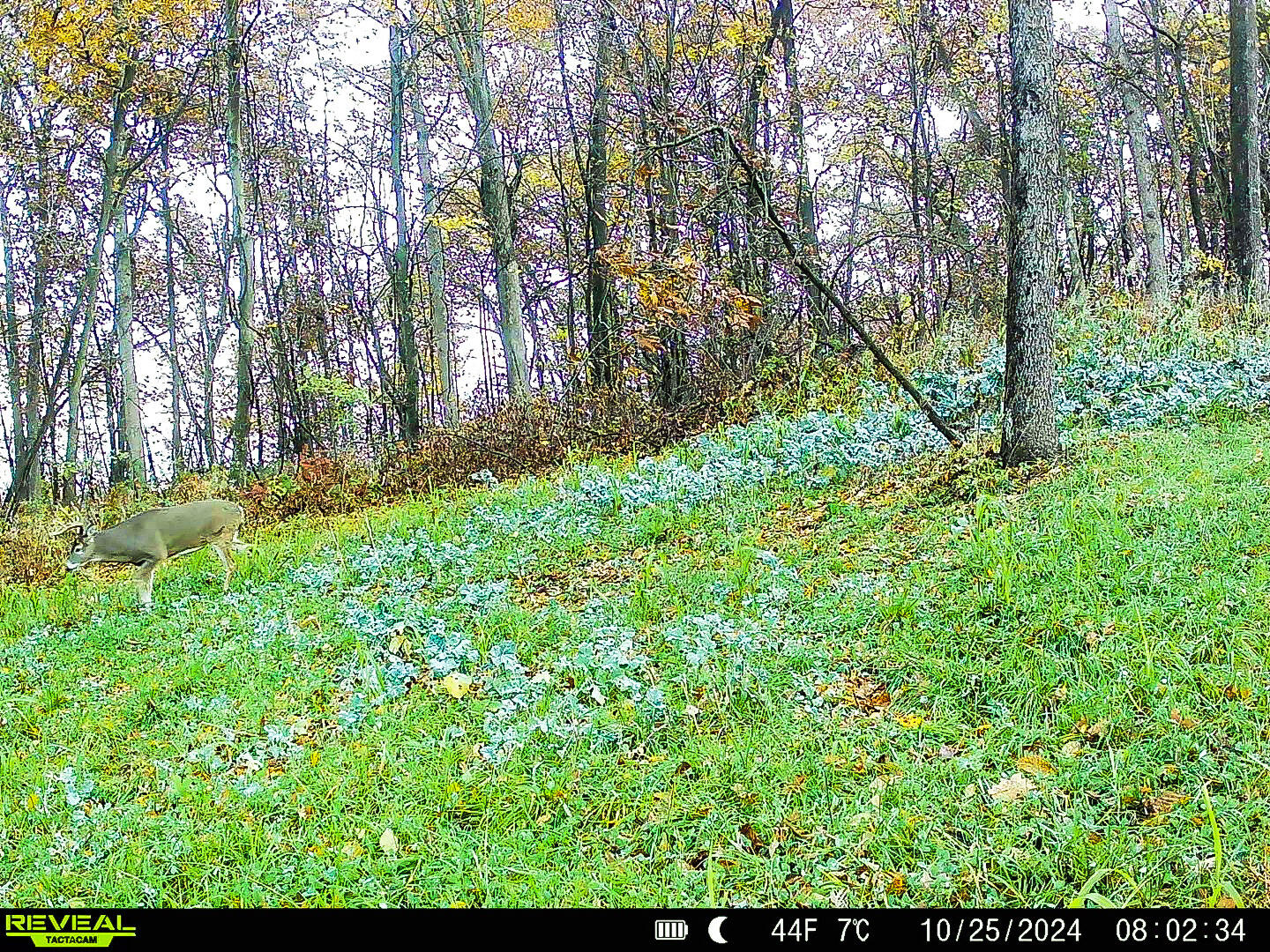 W27022 Whistlers Pass Road Trempealeau, WI 54661 - Photo 101 of 117 59-IMG_2447
