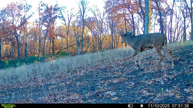 $806,000 | W27022 Whistlers Pass Road, Trempealeau, WI 54661