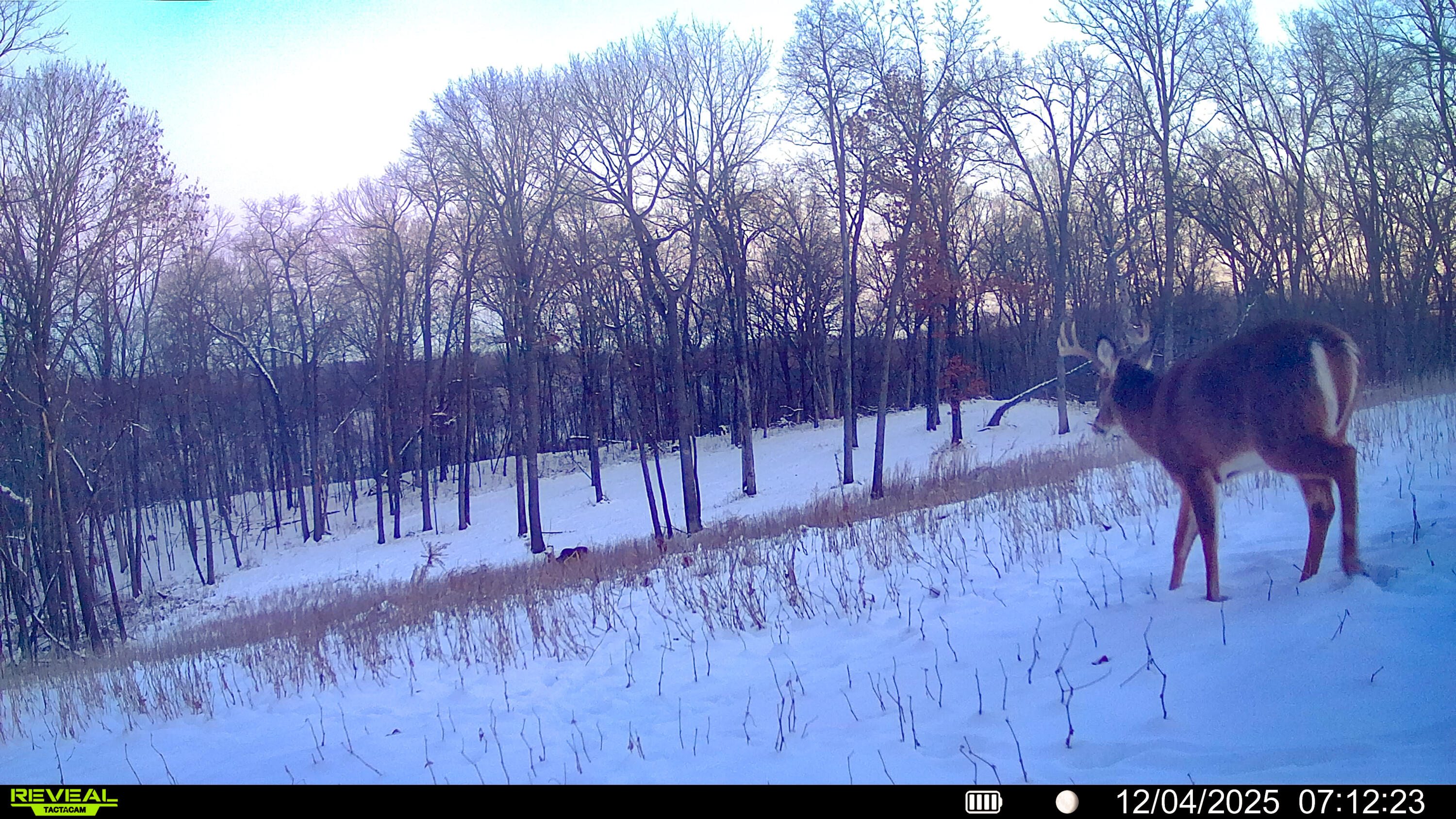 W27022 Whistlers Pass Road Trempealeau, WI 54661 - Photo 103 of 117 2-SYFW02141