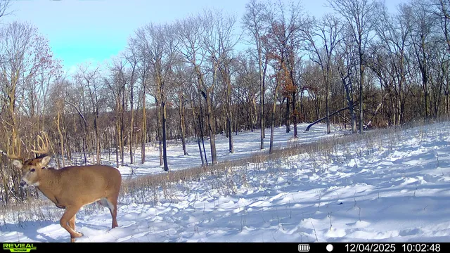 $806,000 | W27022 Whistlers Pass Road, Trempealeau, WI 54661