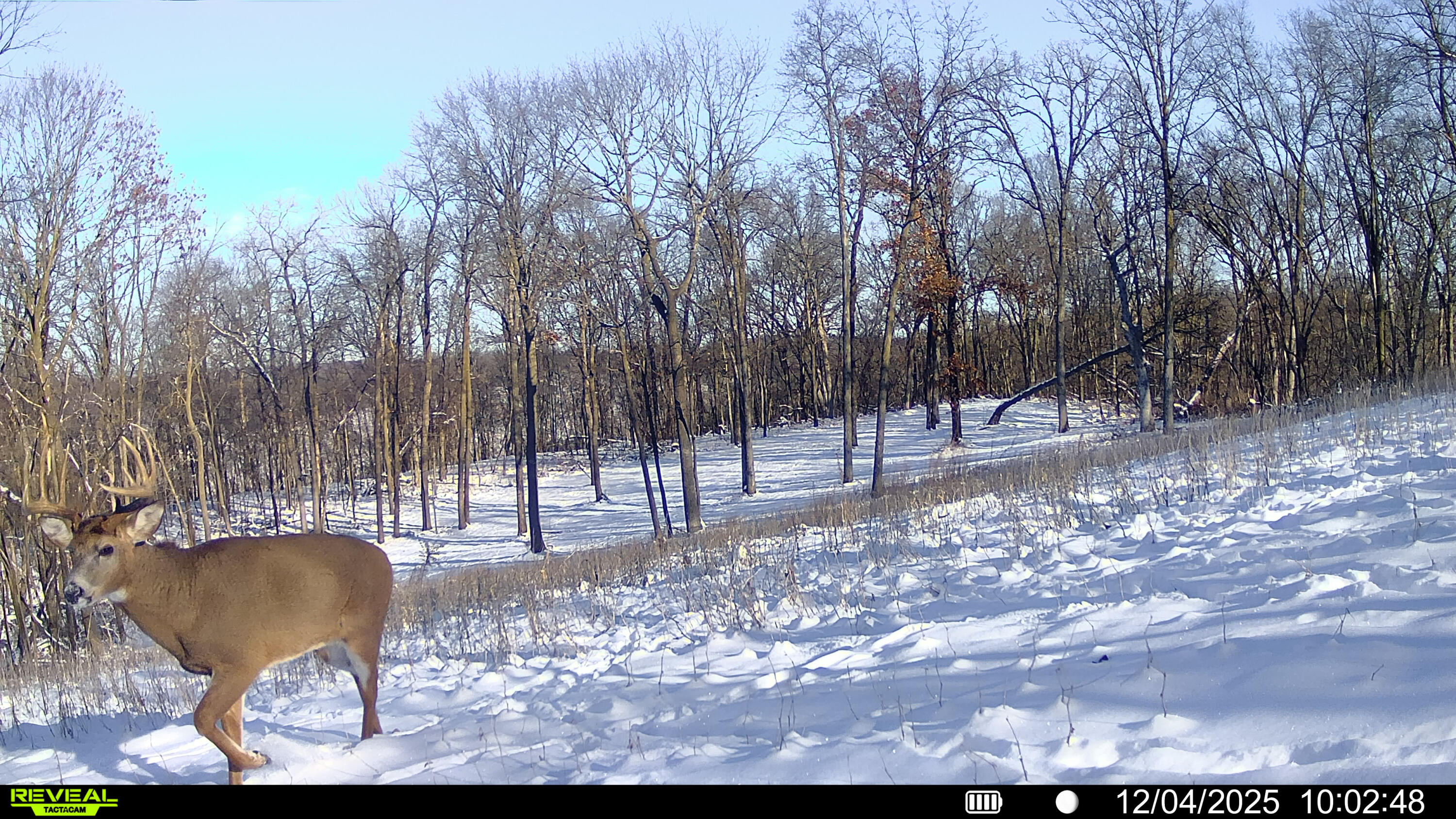 W27022 Whistlers Pass Road Trempealeau, WI 54661 - Photo 104 of 117 3-SYFW02143