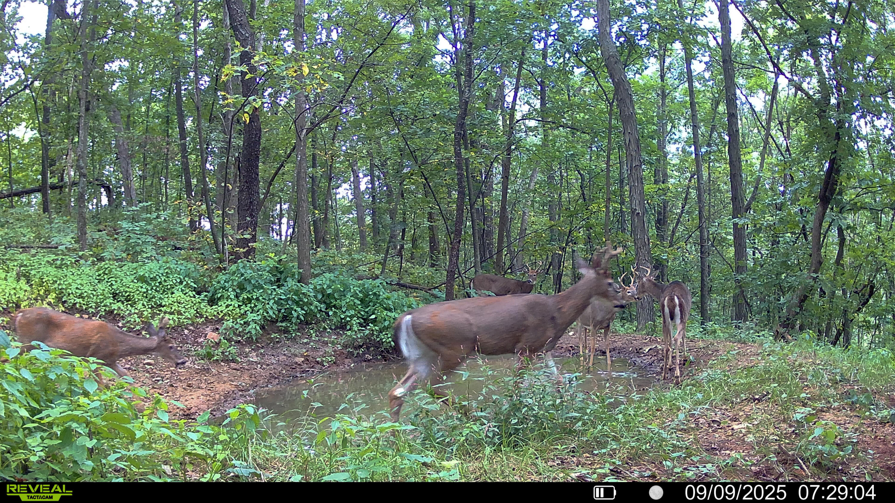 W27022 Whistlers Pass Road Trempealeau, WI 54661 - Photo 106 of 117 5-SYFW03867