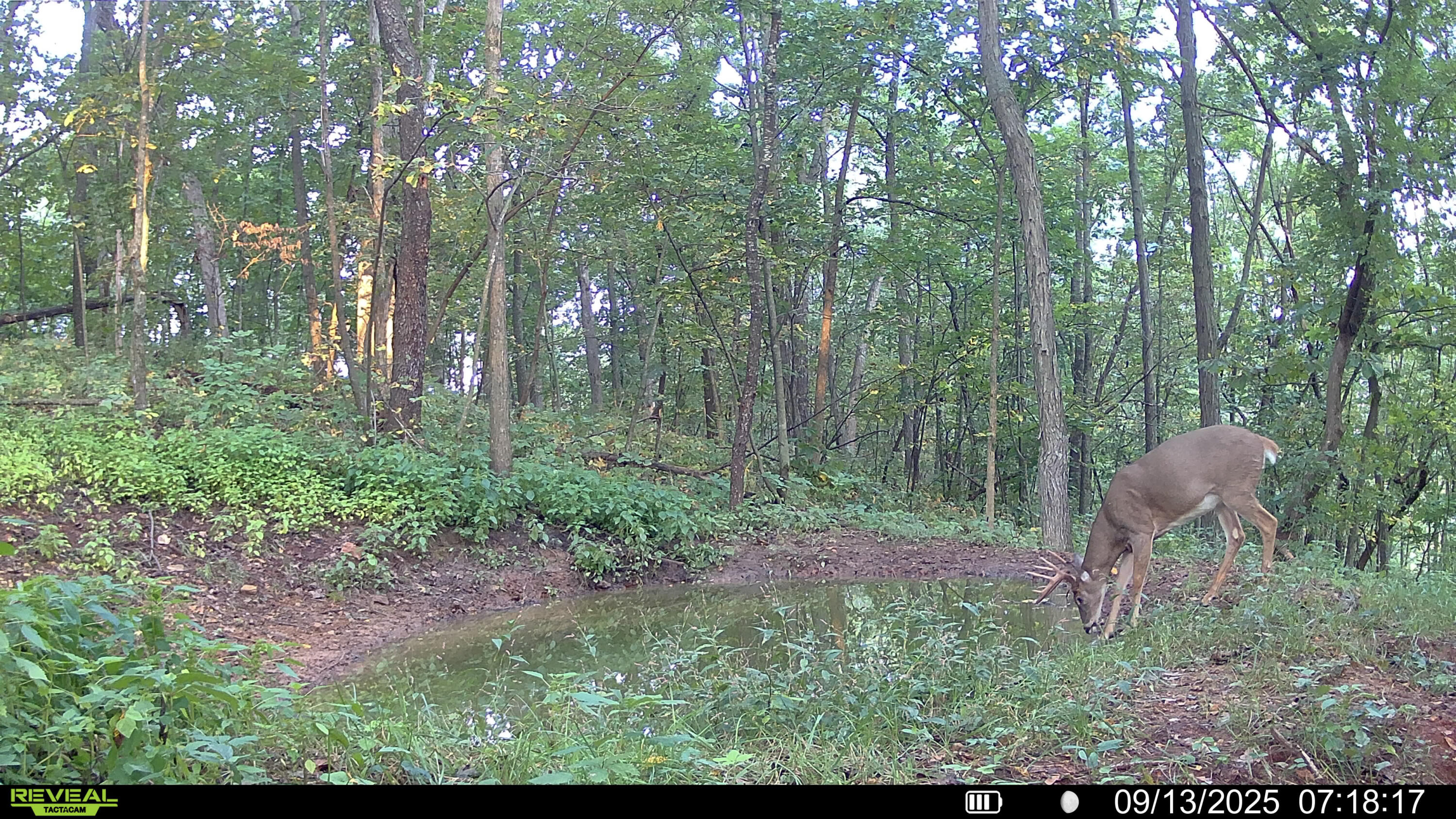W27022 Whistlers Pass Road Trempealeau, WI 54661 - Photo 107 of 117 6-SYFW04195