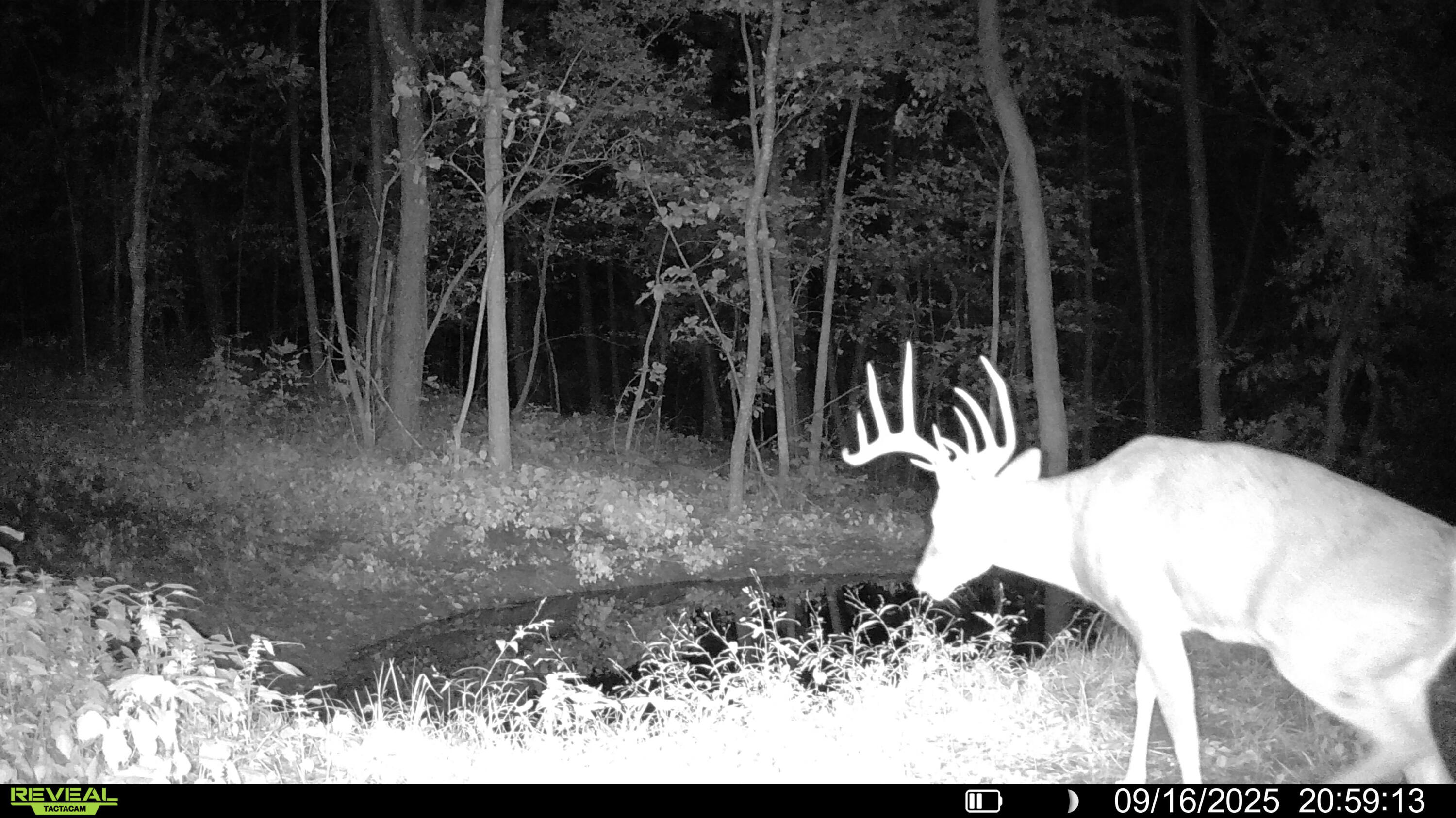 W27022 Whistlers Pass Road Trempealeau, WI 54661 - Photo 108 of 117 7-SYFW04398