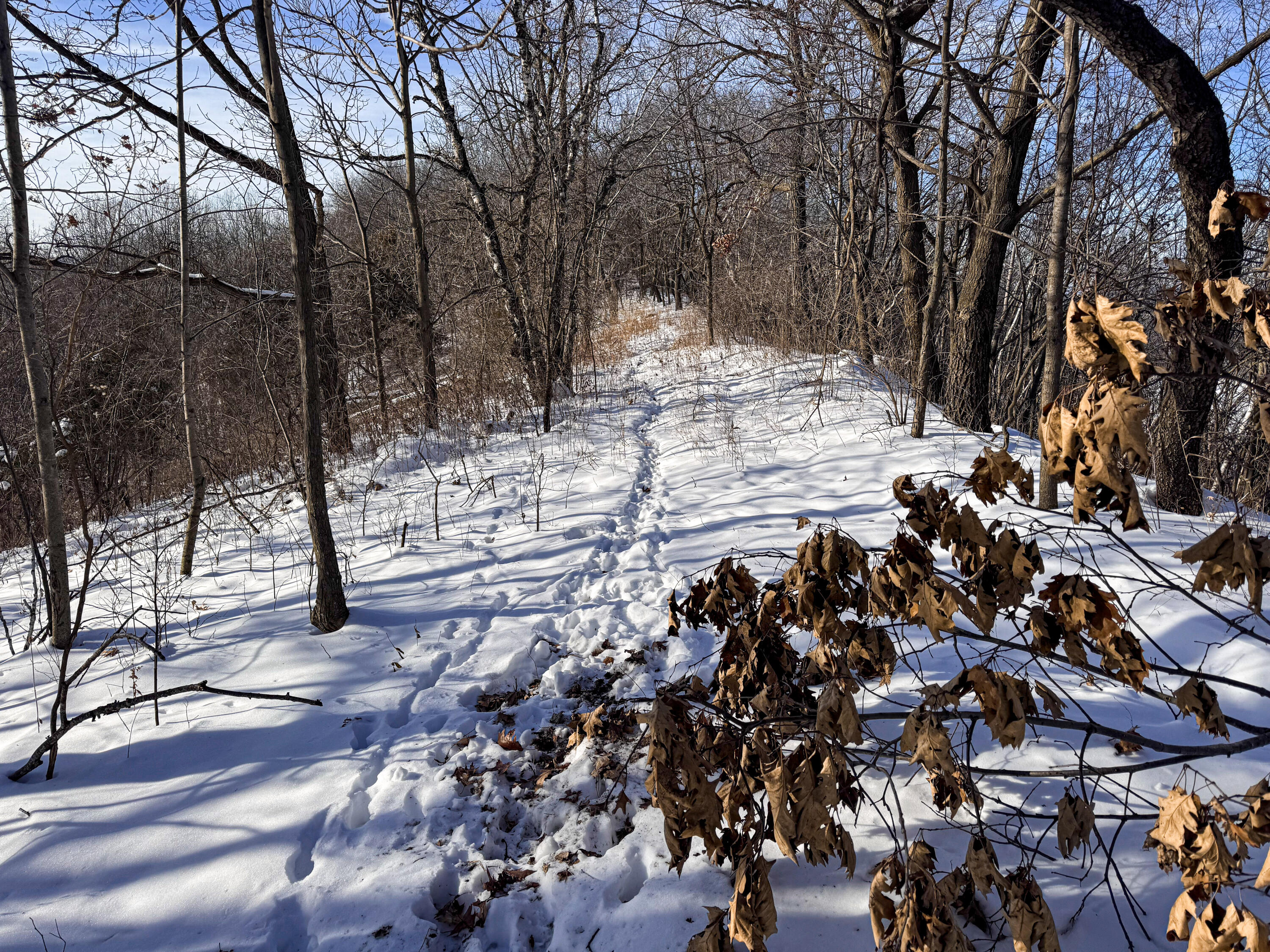 W27022 Whistlers Pass Road Trempealeau, WI 54661 - Photo 11 of 117 113-IMG_2584