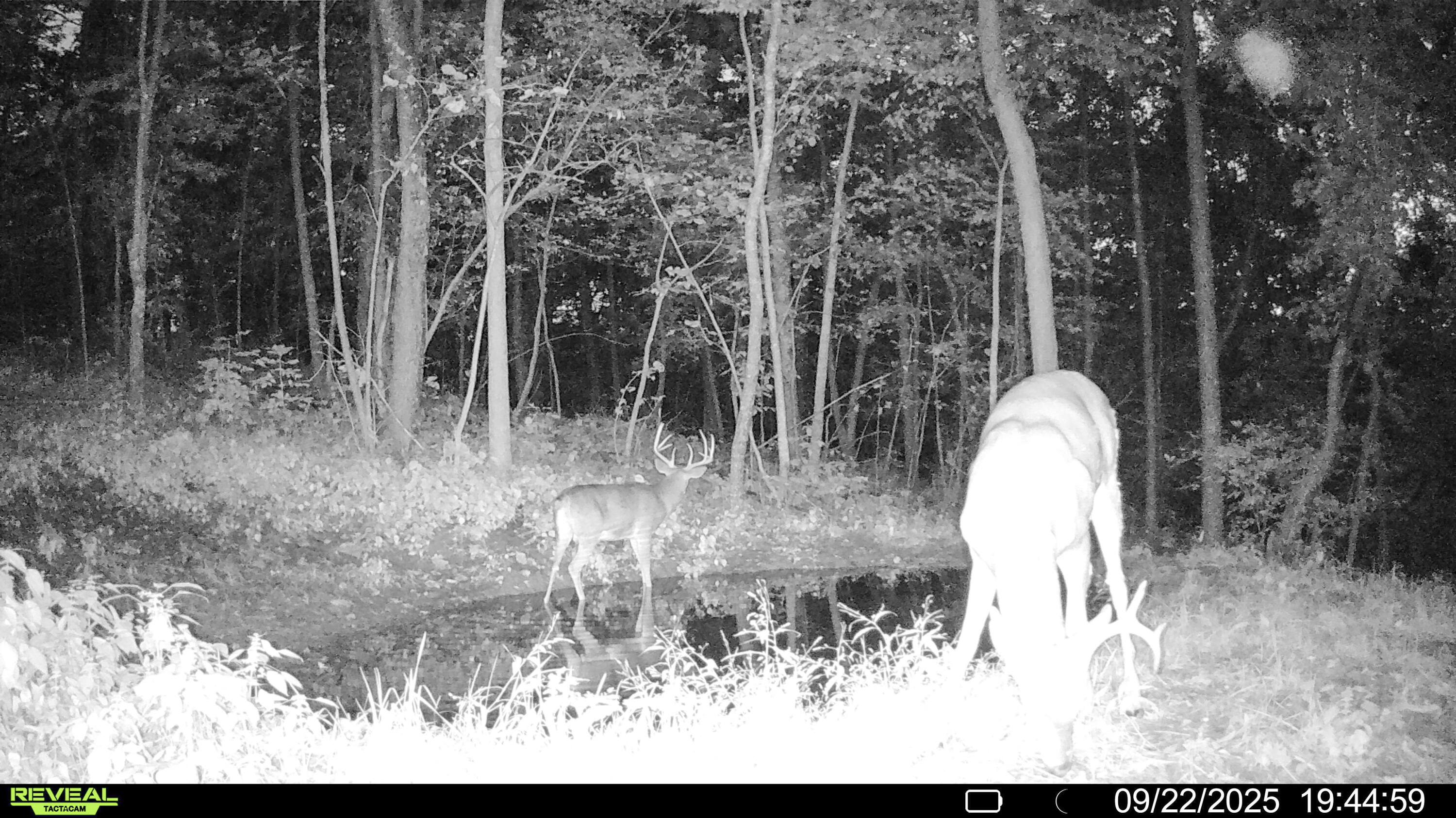 W27022 Whistlers Pass Road Trempealeau, WI 54661 - Photo 111 of 117 10-SYFW04572