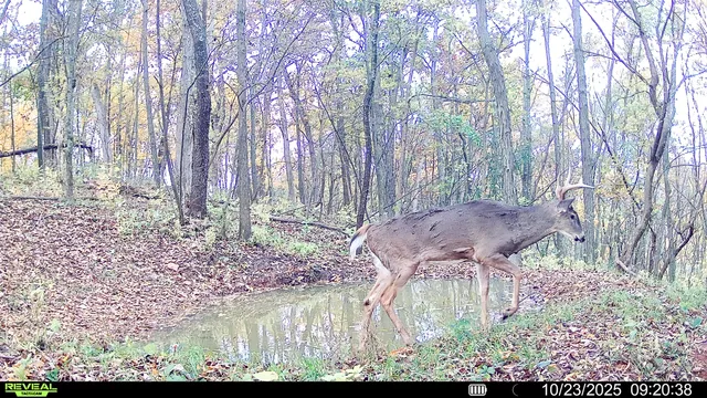 $806,000 | W27022 Whistlers Pass Road, Trempealeau, WI 54661