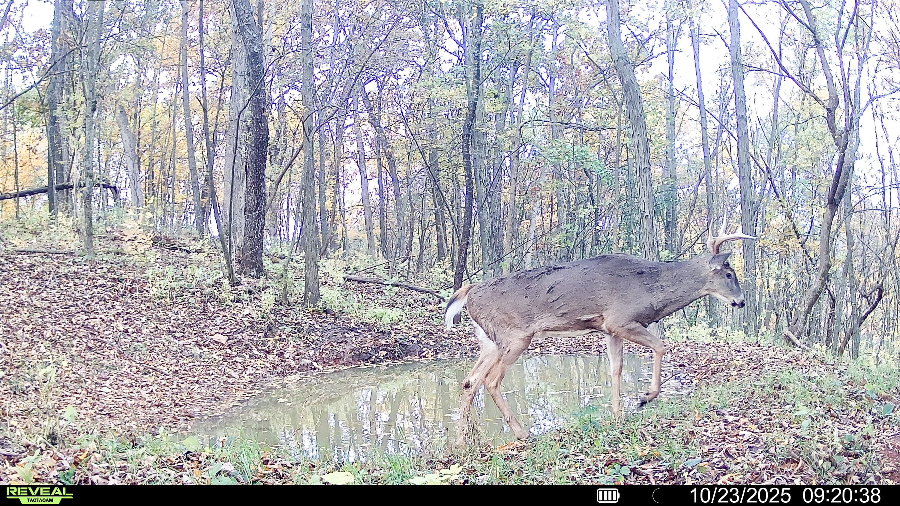 W27022 Whistlers Pass Road Trempealeau, WI 54661 - Photo 112 of 117 12-SYFW05154