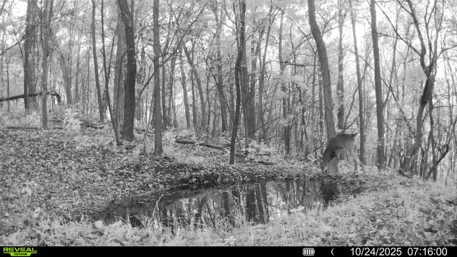 $806,000 | W27022 Whistlers Pass Road, Trempealeau, WI 54661