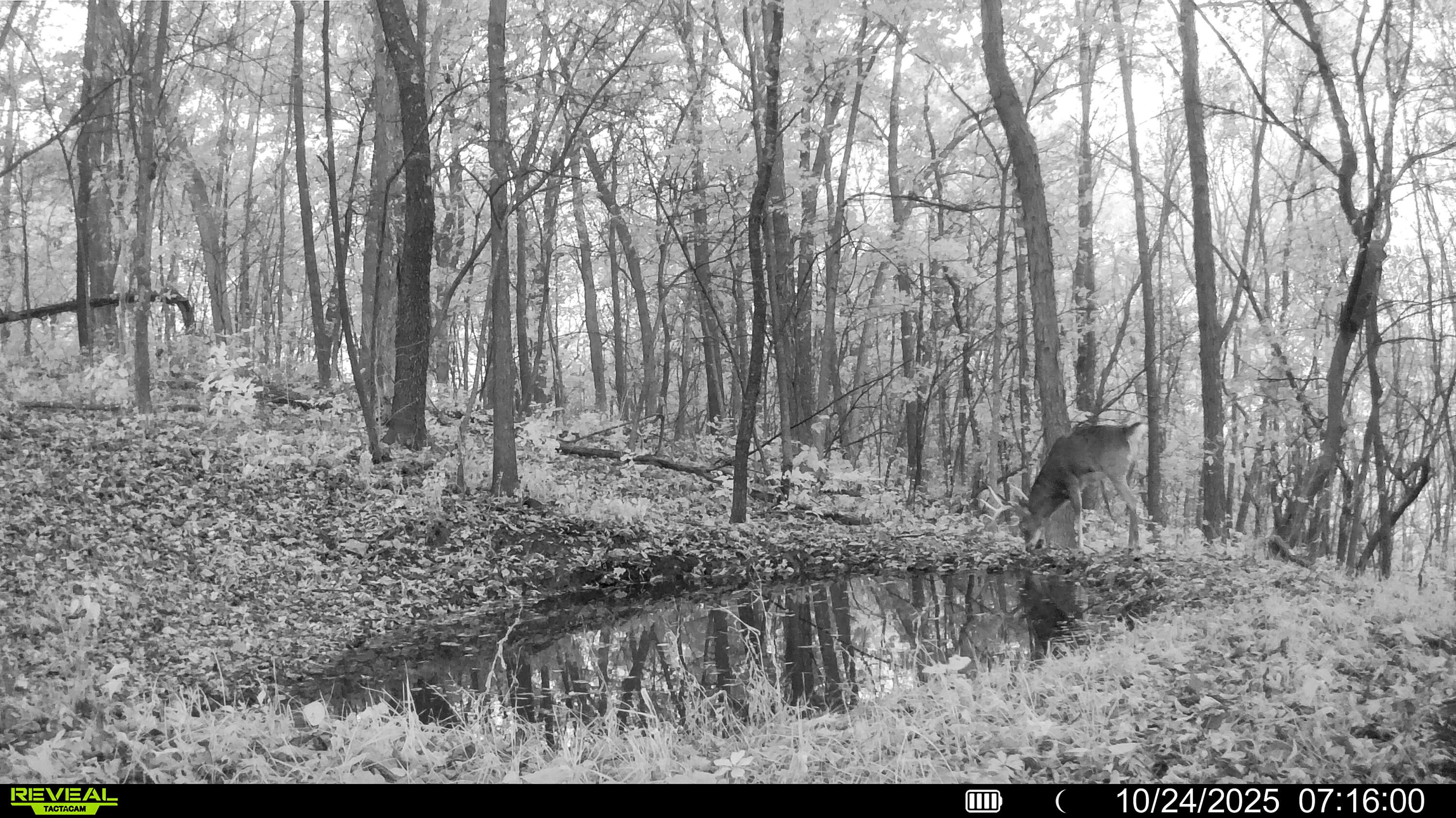 W27022 Whistlers Pass Road Trempealeau, WI 54661 - Photo 113 of 117 13-SYFW05217