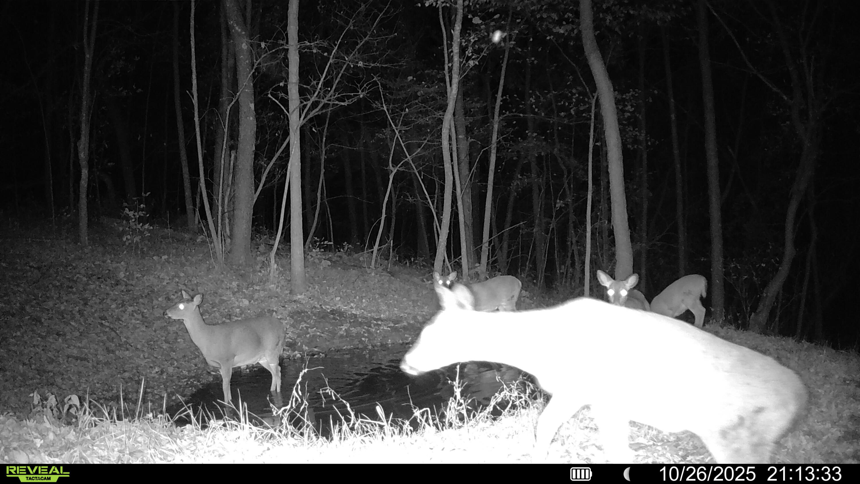 W27022 Whistlers Pass Road Trempealeau, WI 54661 - Photo 114 of 117 14-SYFW05385