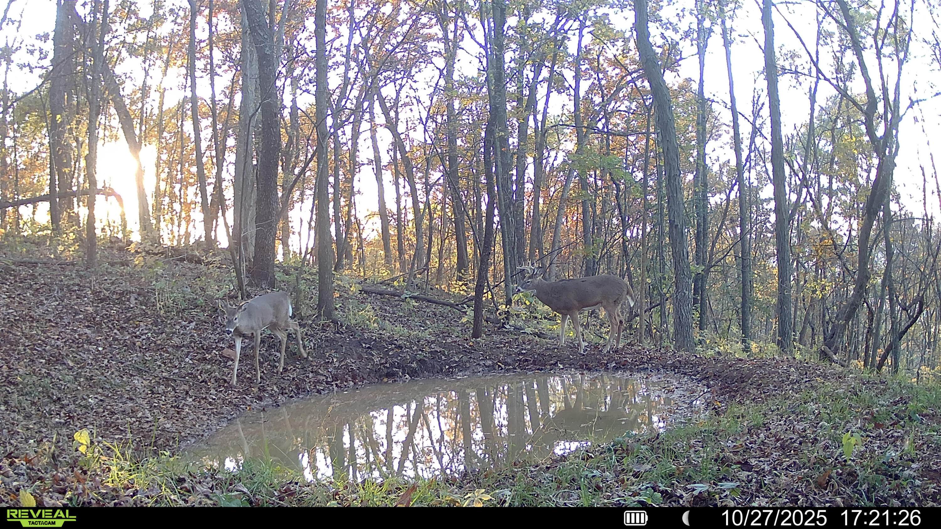 W27022 Whistlers Pass Road Trempealeau, WI 54661 - Photo 115 of 117 15-SYFW05462