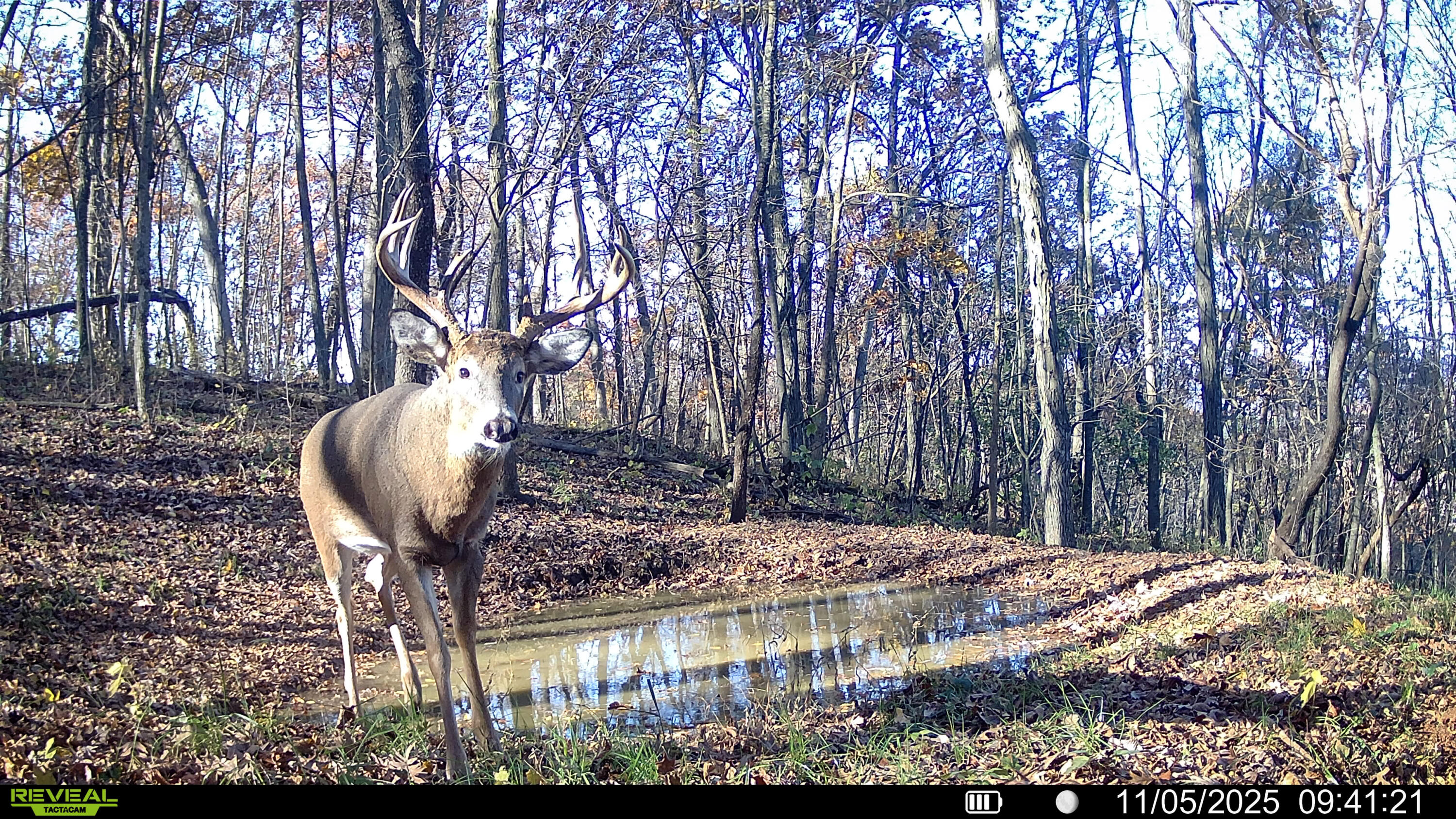 W27022 Whistlers Pass Road Trempealeau, WI 54661 - Photo 117 of 117 19-SYFW05845