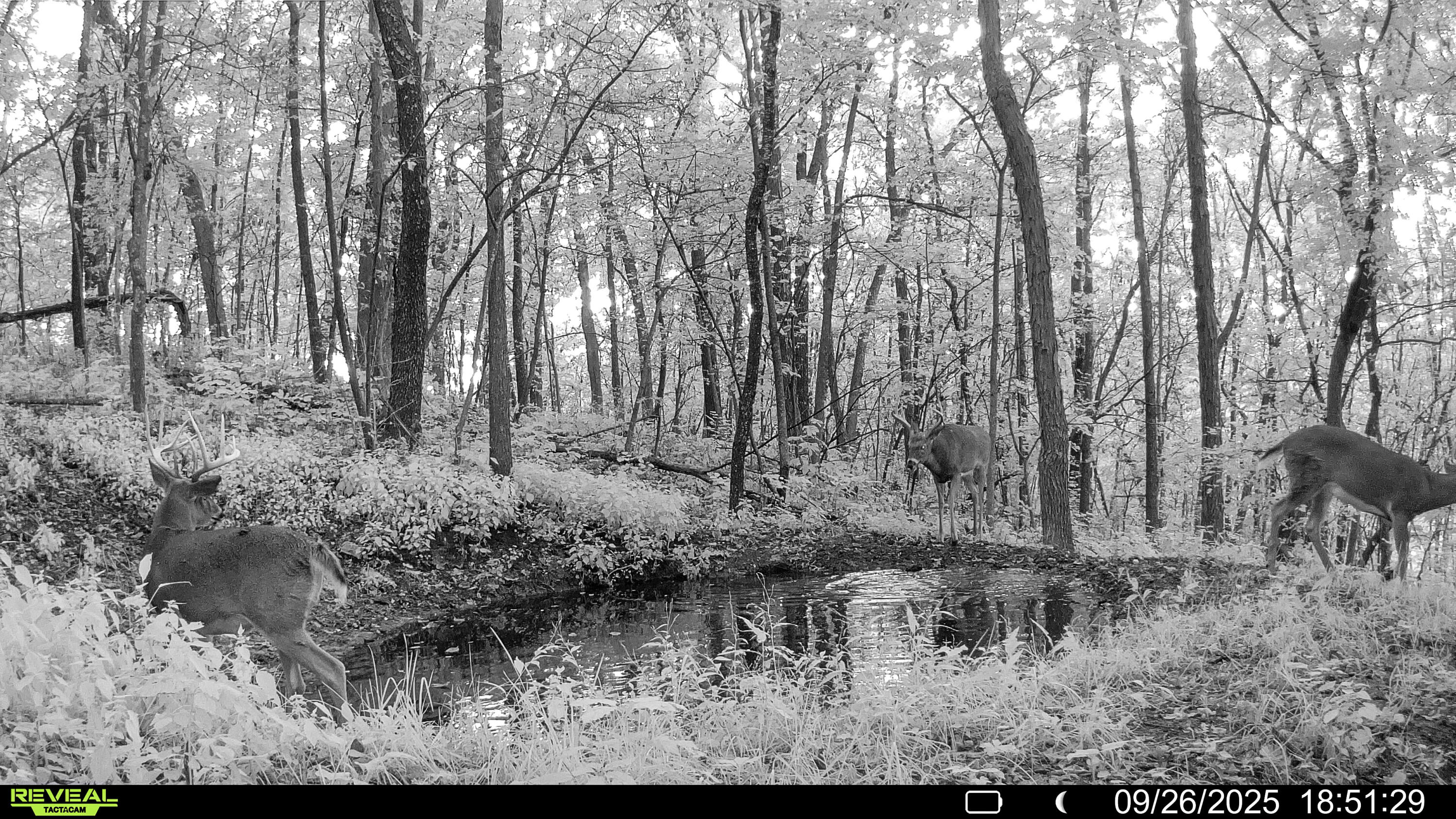 W27022 Whistlers Pass Road Trempealeau, WI 54661 - Photo 12 of 117 11-SYFW04719