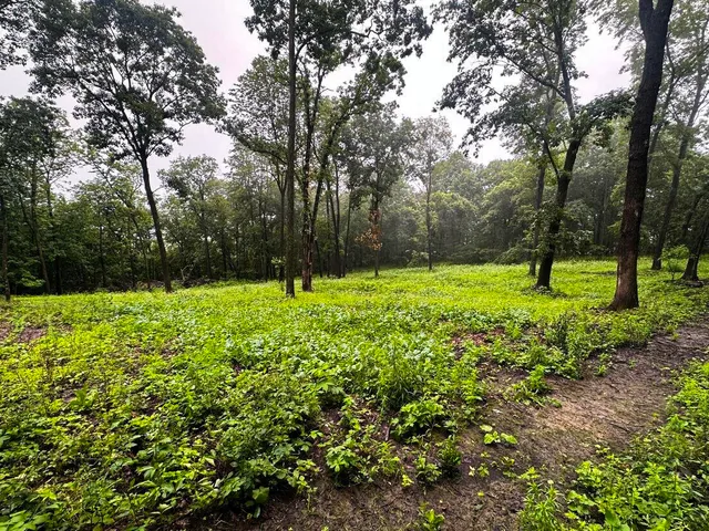 $806,000 | W27022 Whistlers Pass Road, Trempealeau, WI 54661