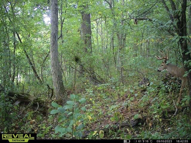 W27022 Whistlers Pass Road Trempealeau, WI 54661 - Photo 17 of 117 47-IMG_2417