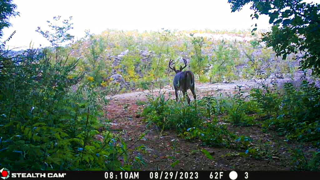 W27022 Whistlers Pass Road Trempealeau, WI 54661 - Photo 21 of 117 46-IMG_2414