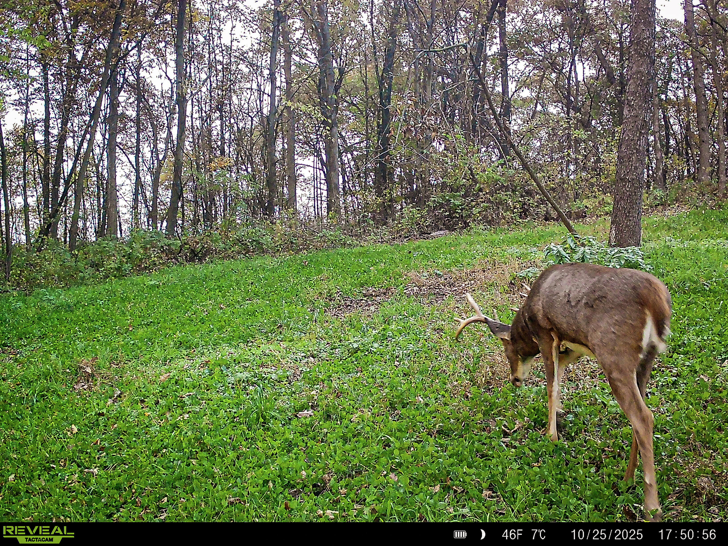 W27022 Whistlers Pass Road Trempealeau, WI 54661 - Photo 24 of 117 39-SYFW7172