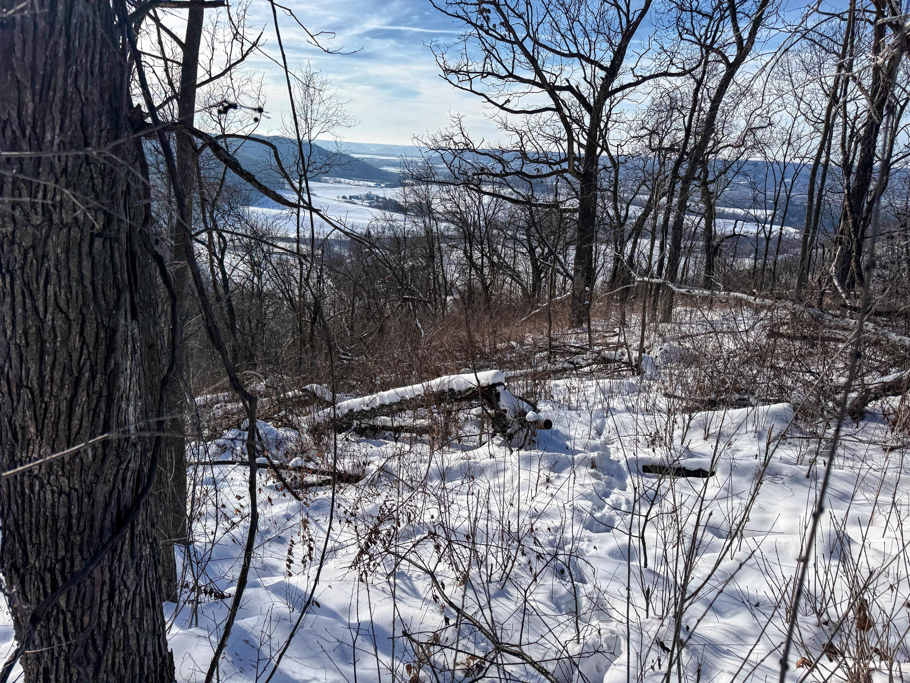 W27022 Whistlers Pass Road Trempealeau, WI 54661 - Photo 25 of 117 104-IMG_2572