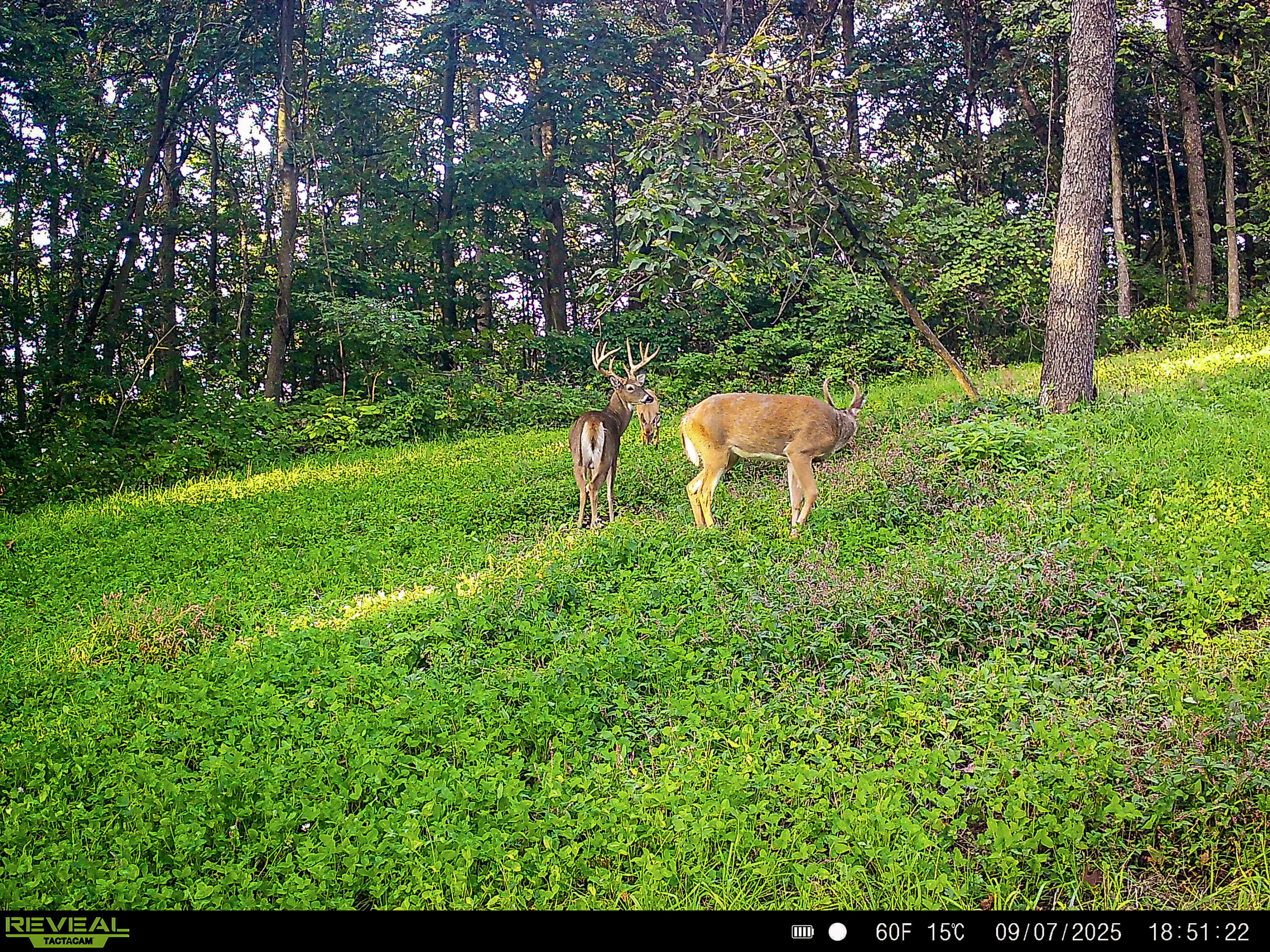 W27022 Whistlers Pass Road Trempealeau, WI 54661 - Photo 27 of 117 33-SYFW6496