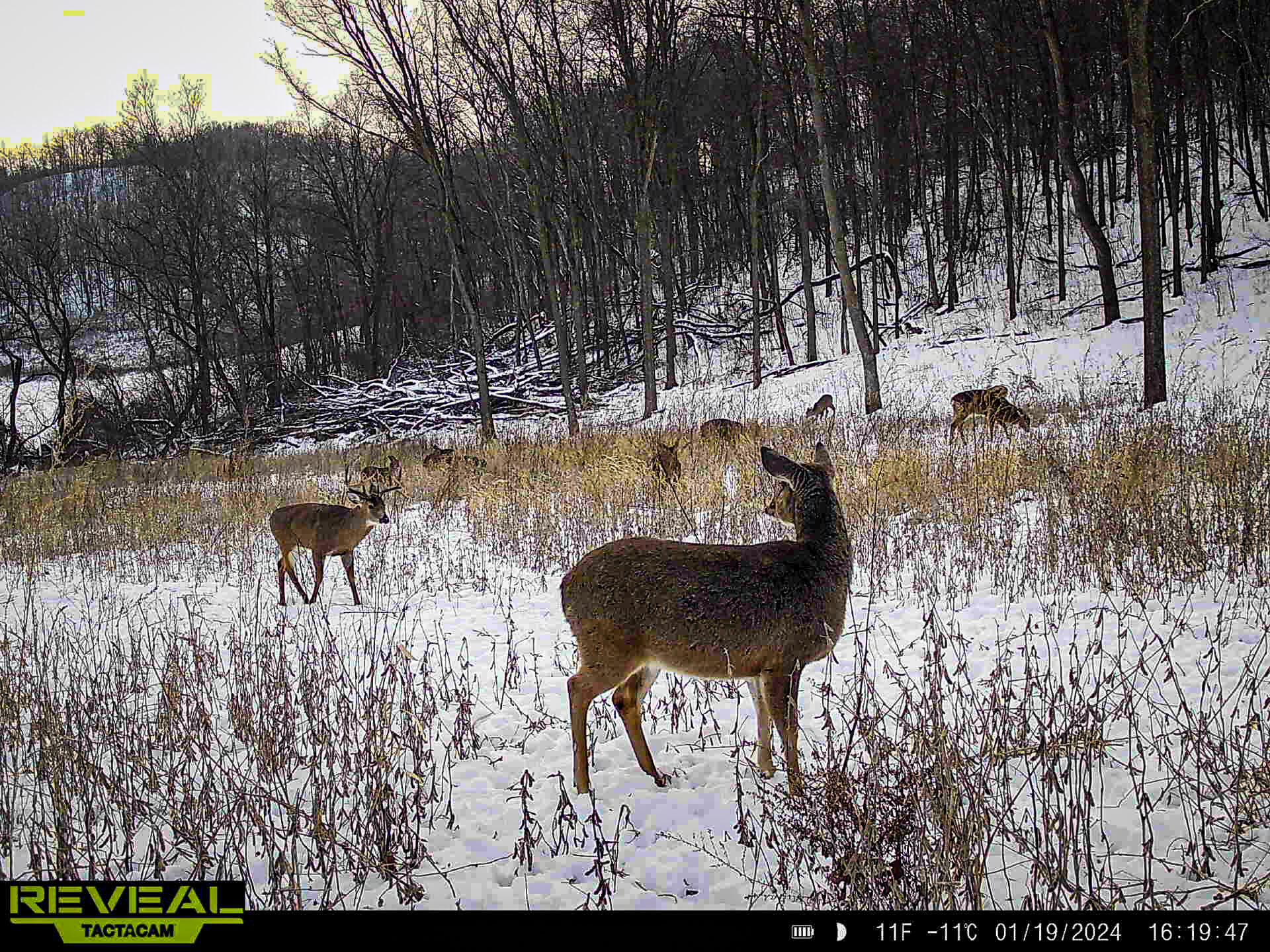 W27022 Whistlers Pass Road Trempealeau, WI 54661 - Photo 29 of 117 32-865814044827549-100-2-01192024161946-