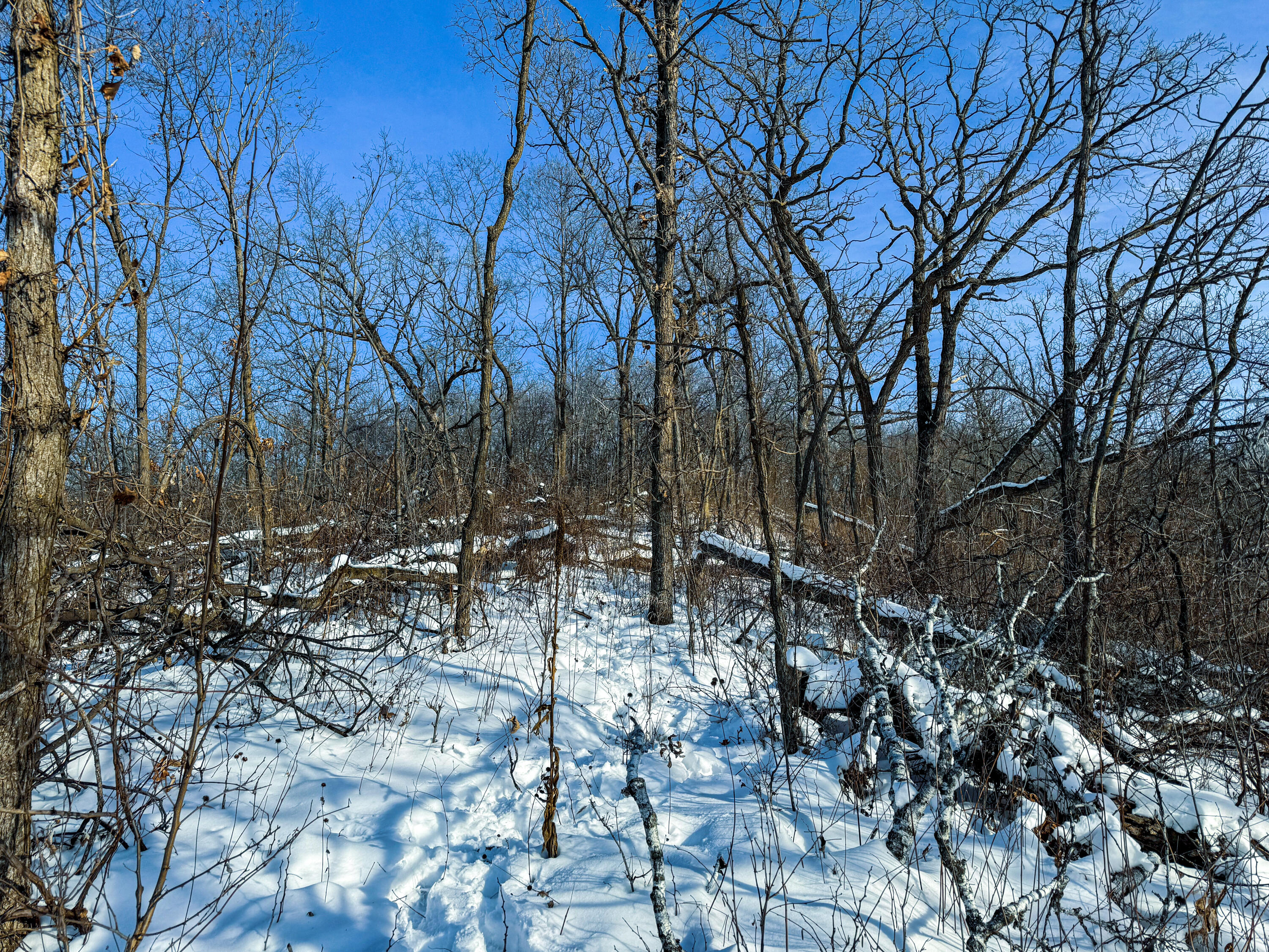 W27022 Whistlers Pass Road Trempealeau, WI 54661 - Photo 30 of 117 106-IMG_2575