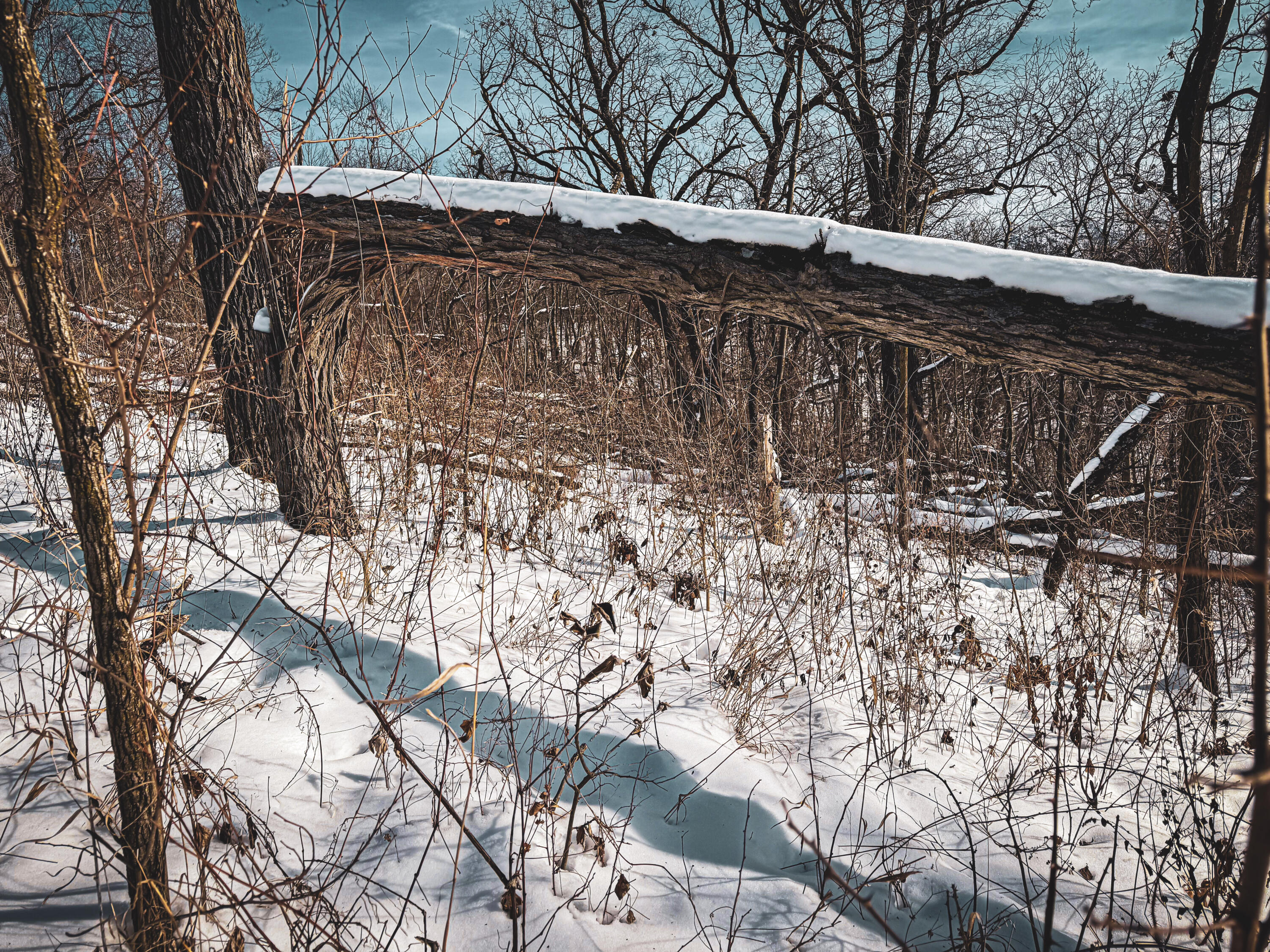 W27022 Whistlers Pass Road Trempealeau, WI 54661 - Photo 32 of 117 107-IMG_2576