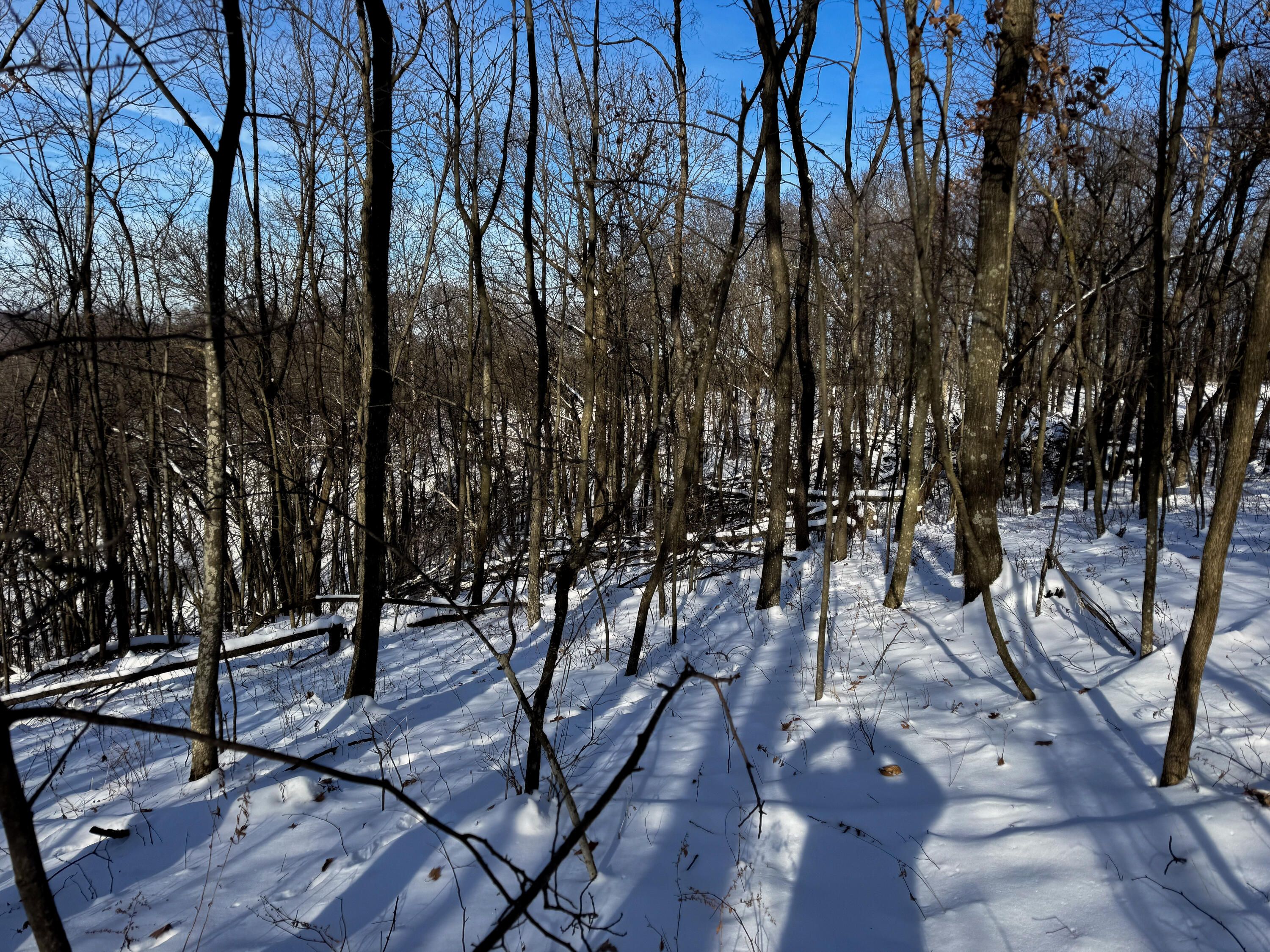 W27022 Whistlers Pass Road Trempealeau, WI 54661 - Photo 33 of 117 108-IMG_2577