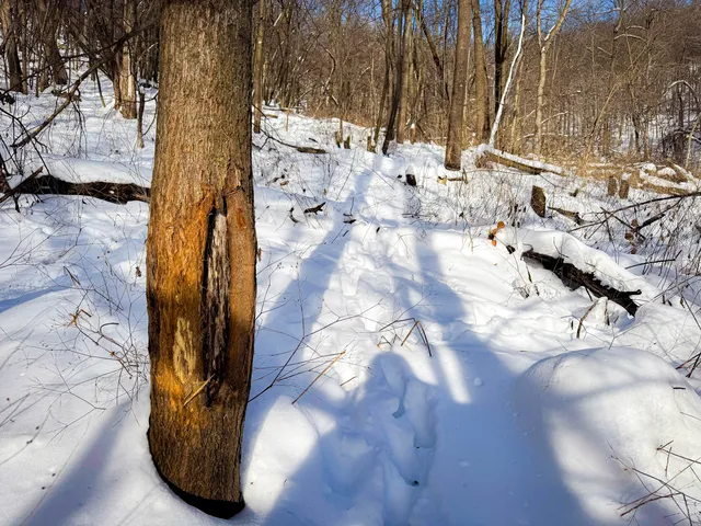 $806,000 | W27022 Whistlers Pass Road, Trempealeau, WI 54661