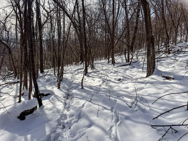 $806,000 | W27022 Whistlers Pass Road, Trempealeau, WI 54661