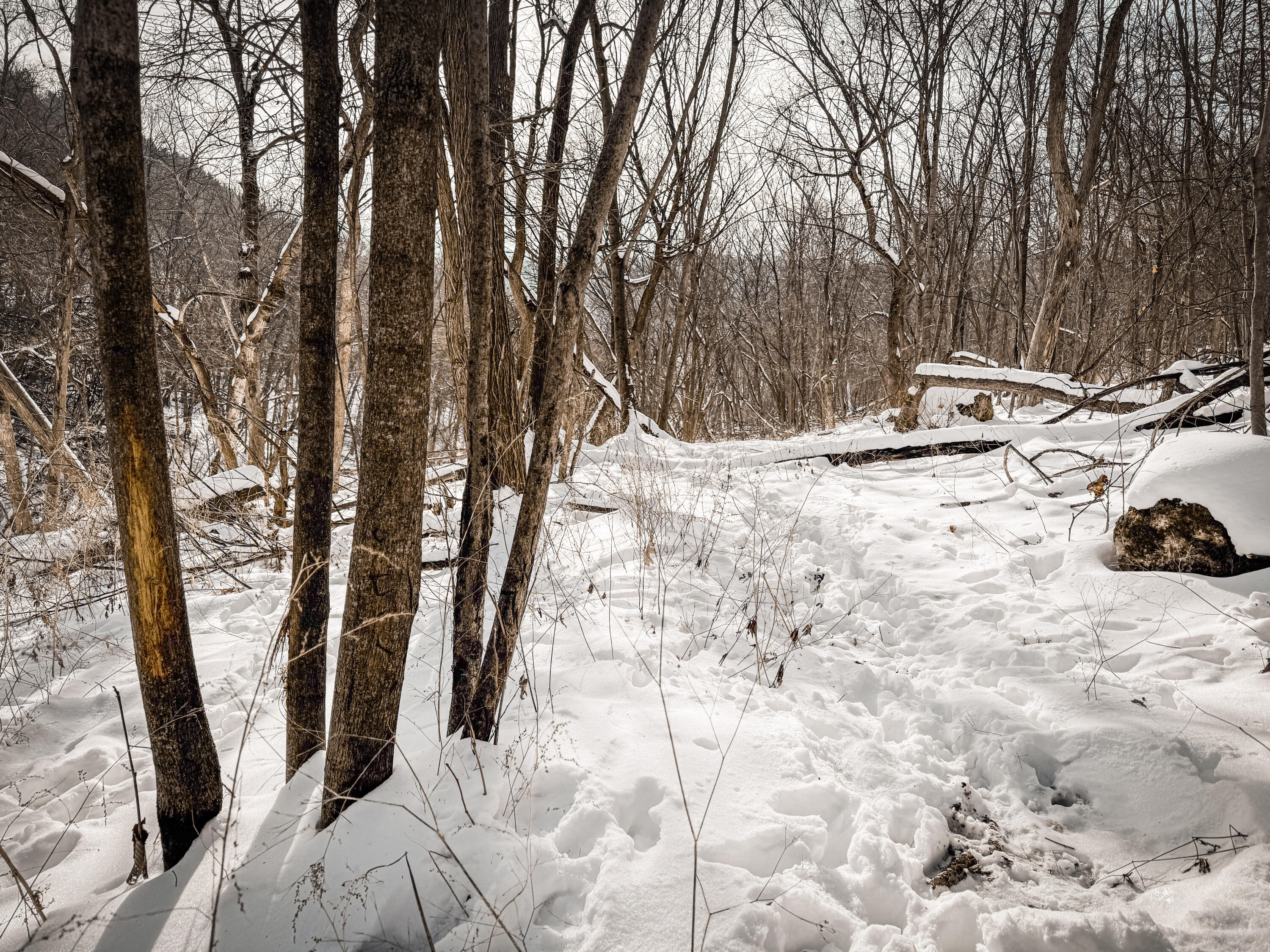 W27022 Whistlers Pass Road Trempealeau, WI 54661 - Photo 39 of 117 99-IMG_2563