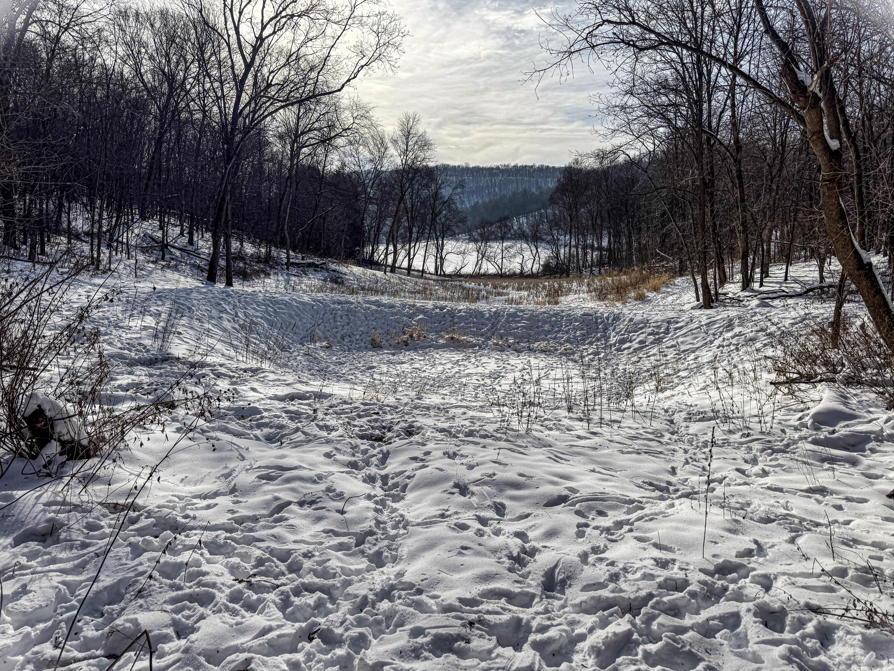 W27022 Whistlers Pass Road Trempealeau, WI 54661 - Photo 40 of 117 100-IMG_2564