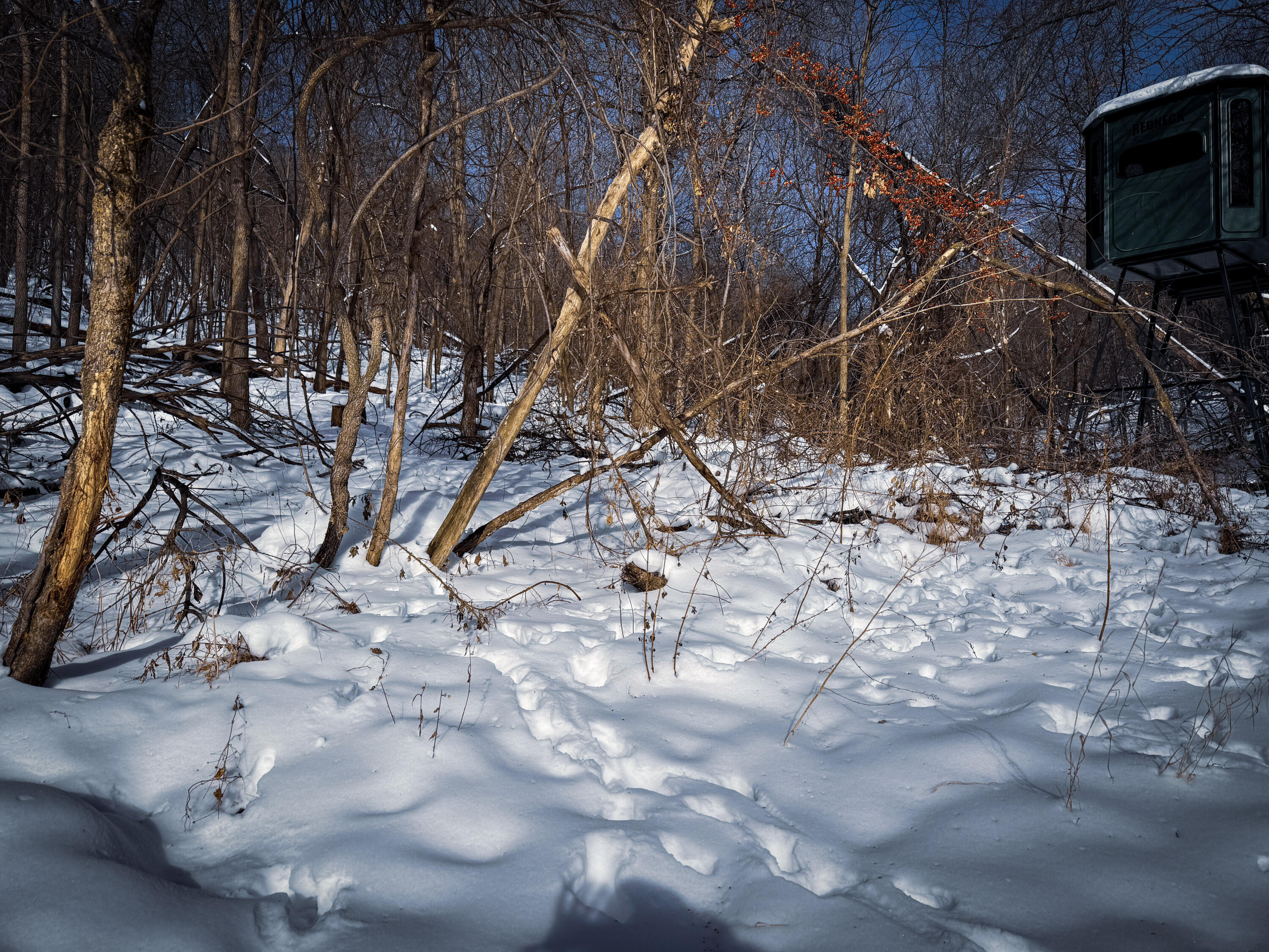 W27022 Whistlers Pass Road Trempealeau, WI 54661 - Photo 41 of 117 101-IMG_2566