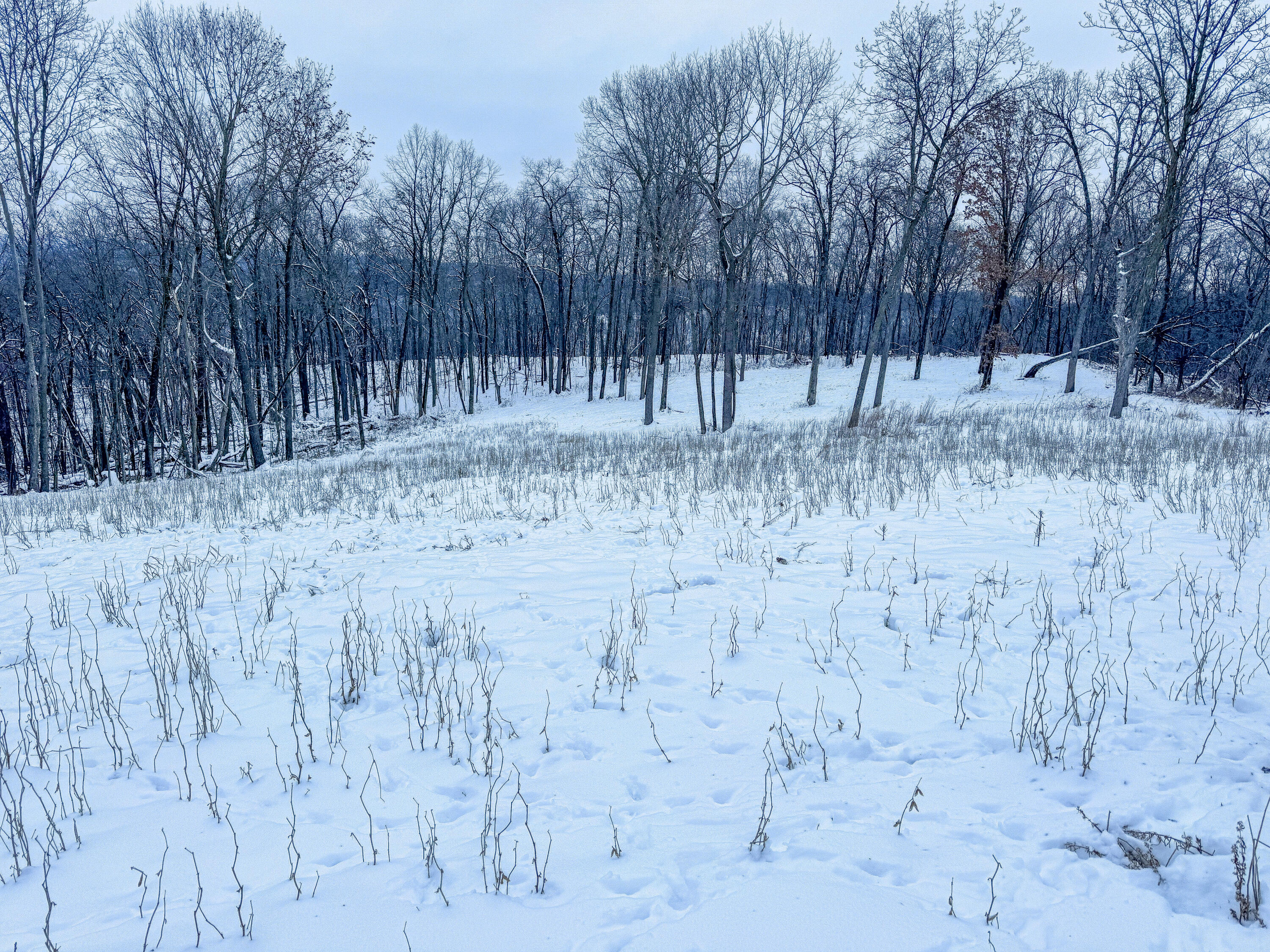 W27022 Whistlers Pass Road Trempealeau, WI 54661 - Photo 43 of 117 85-IMG_2513