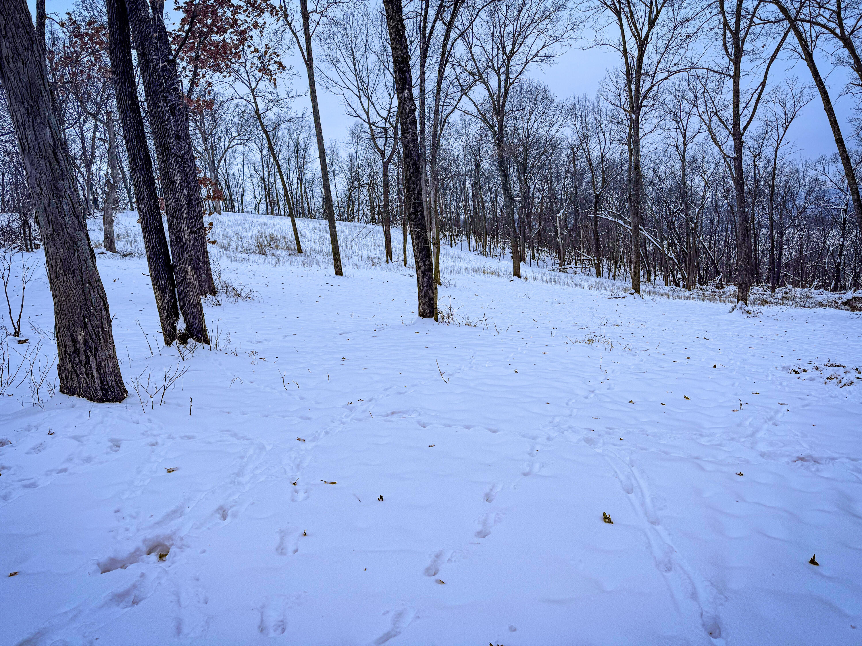 W27022 Whistlers Pass Road Trempealeau, WI 54661 - Photo 44 of 117 86-IMG_2514