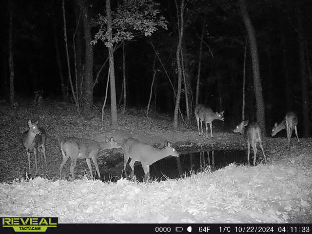W27022 Whistlers Pass Road Trempealeau, WI 54661 - Photo 45 of 117 87-863900043850186-10-5-10222024041134-W