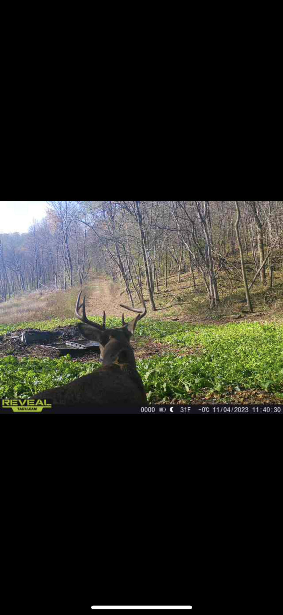 W27022 Whistlers Pass Road Trempealeau, WI 54661 - Photo 46 of 117 88-IMG_2518