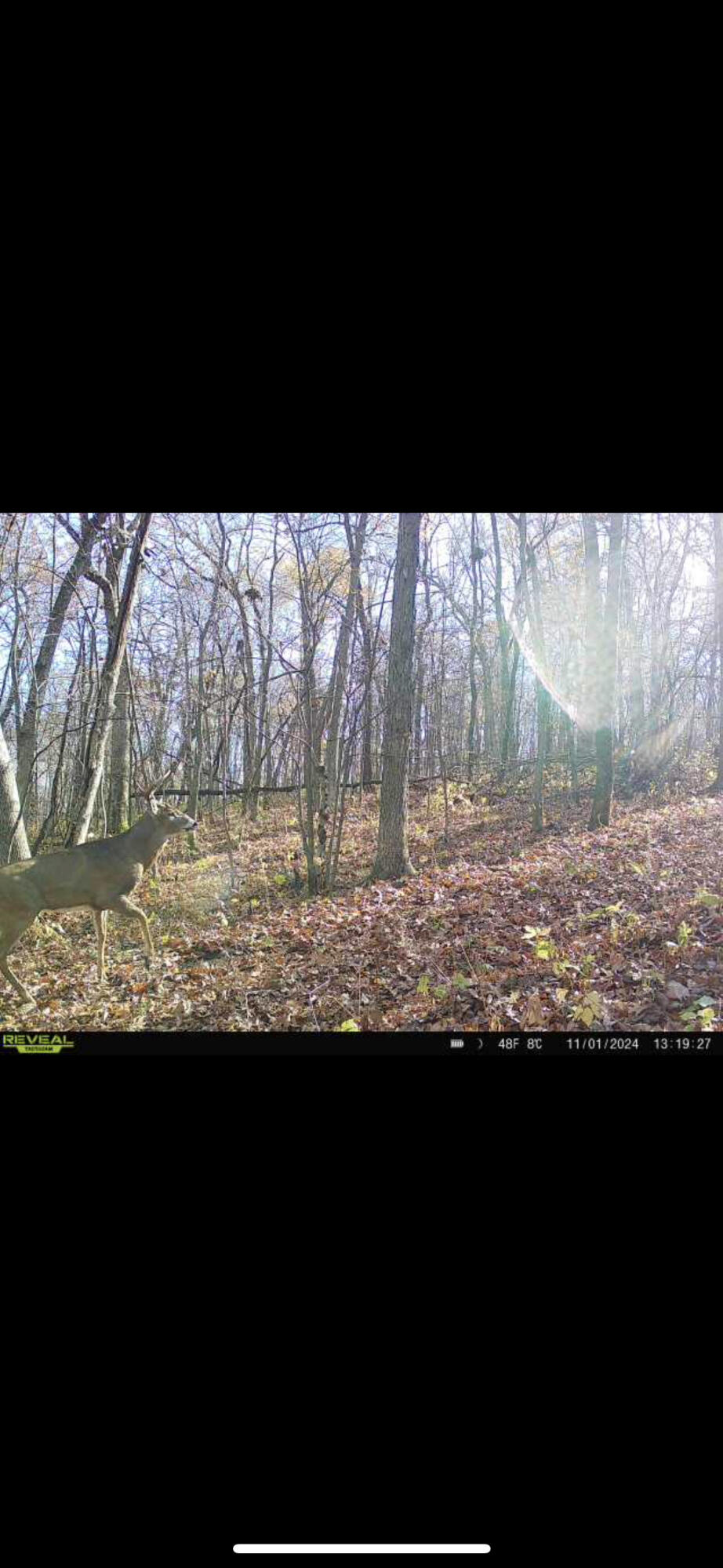 W27022 Whistlers Pass Road Trempealeau, WI 54661 - Photo 47 of 117 89-IMG_2523